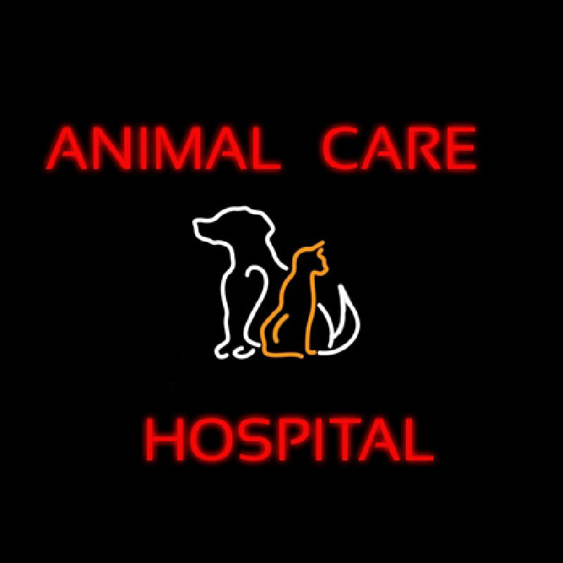 Animal Care Hospital Logo Neonkyltti