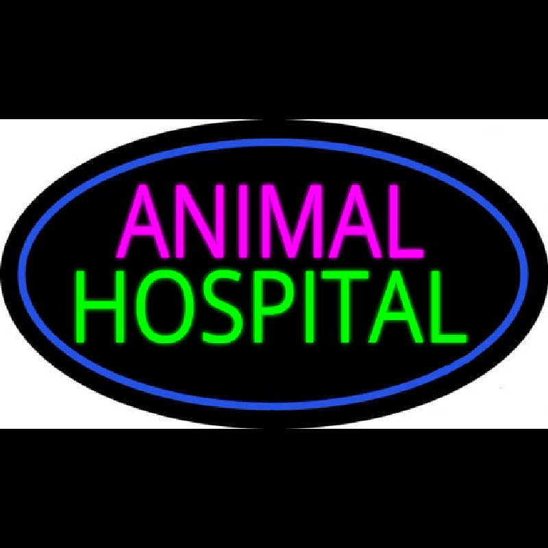 Animal Hospital Blue Oval Neonkyltti