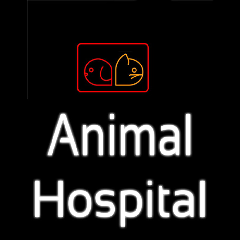 Animal Hospital Neonkyltti