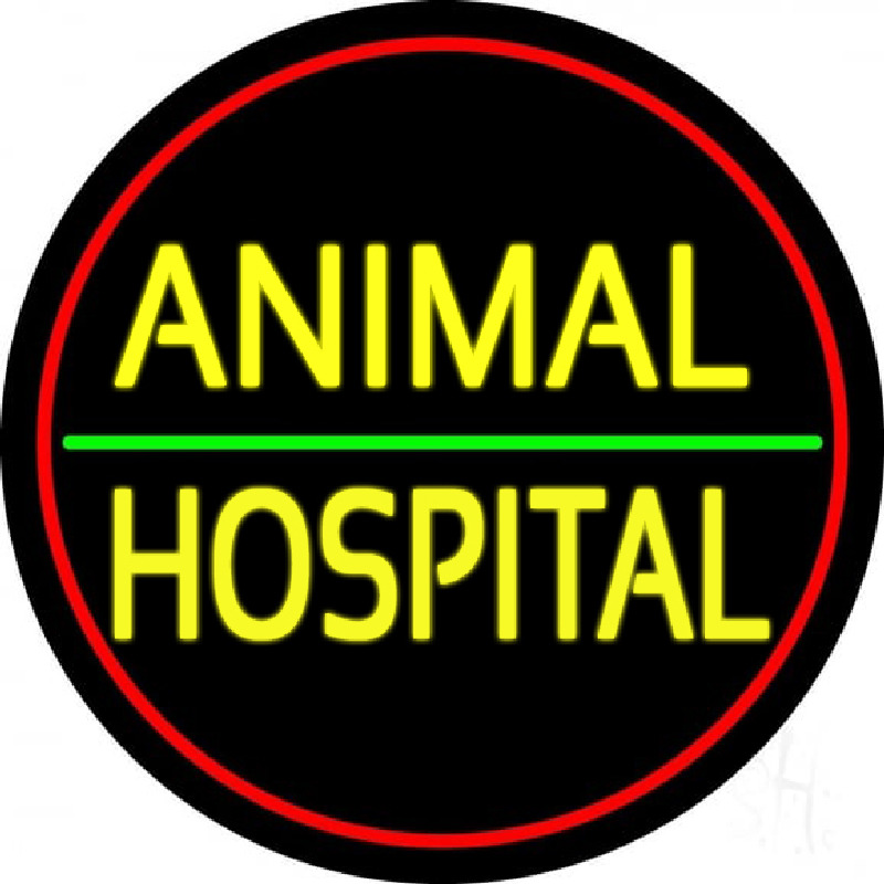 Animal Hospital Red Circle Neonkyltti