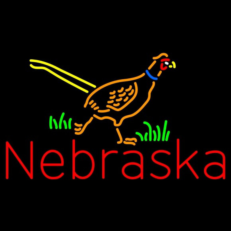 Custom Nebraska Pheasant Steve Neonkyltti