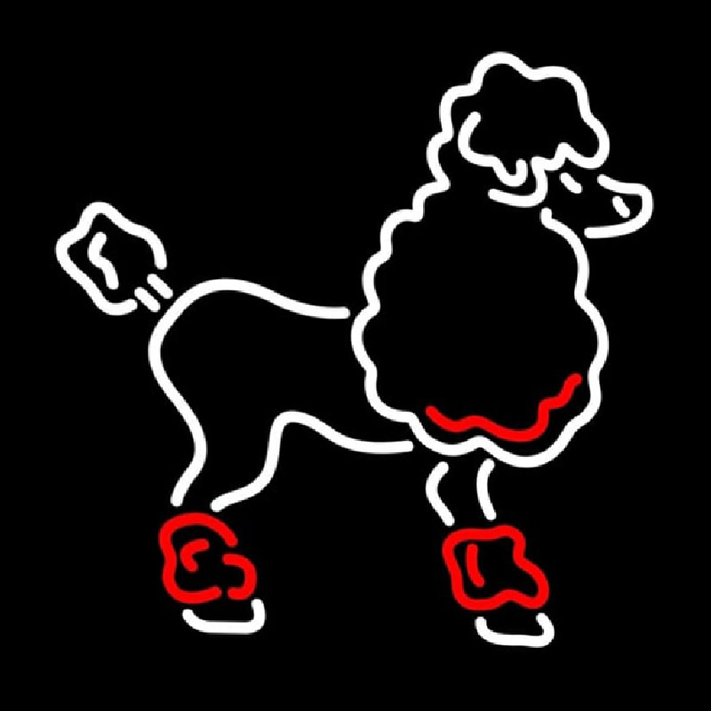 Poodle Neonkyltti