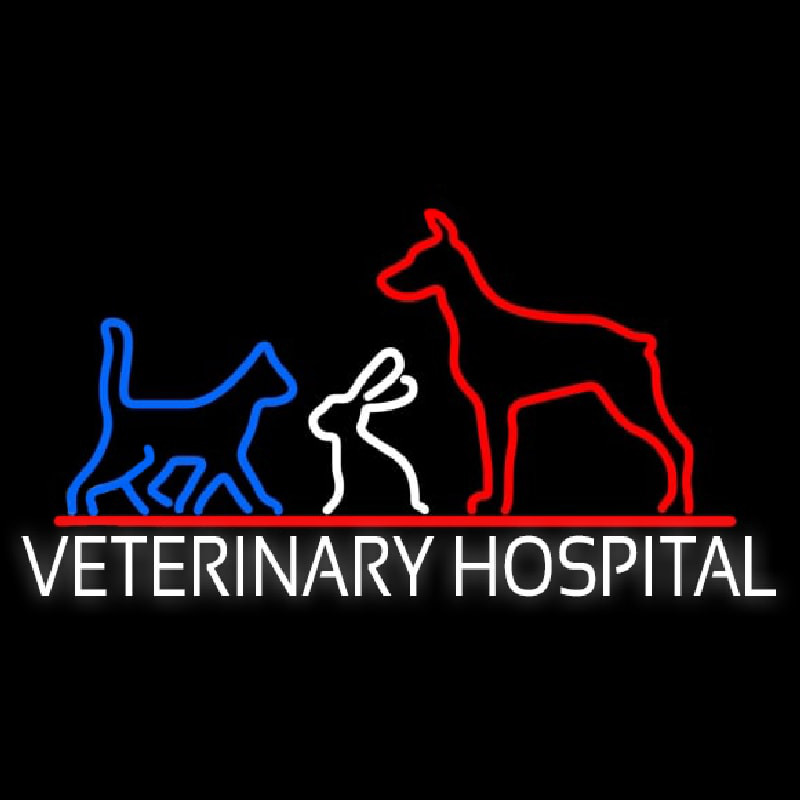 Veterinary Hospital Neonkyltti