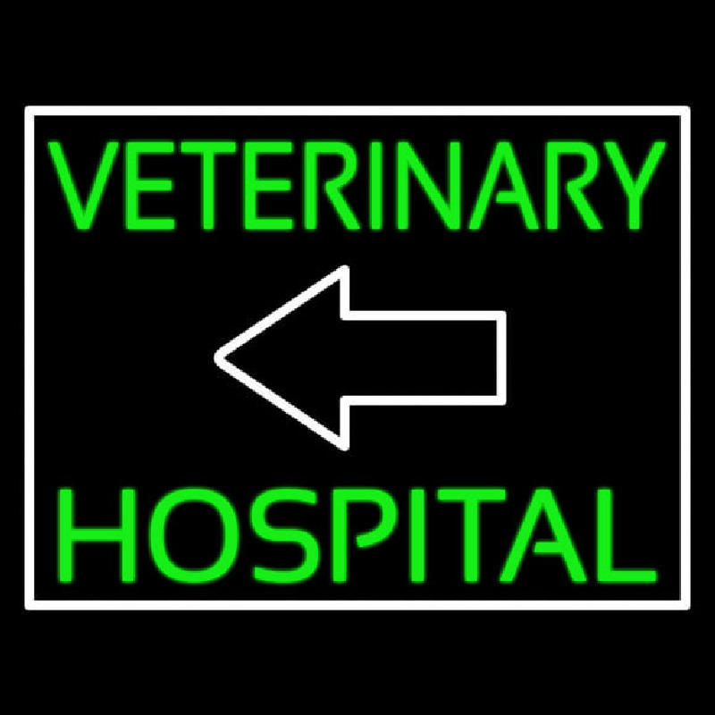 Veterinary Hospital With Arrow Neonkyltti