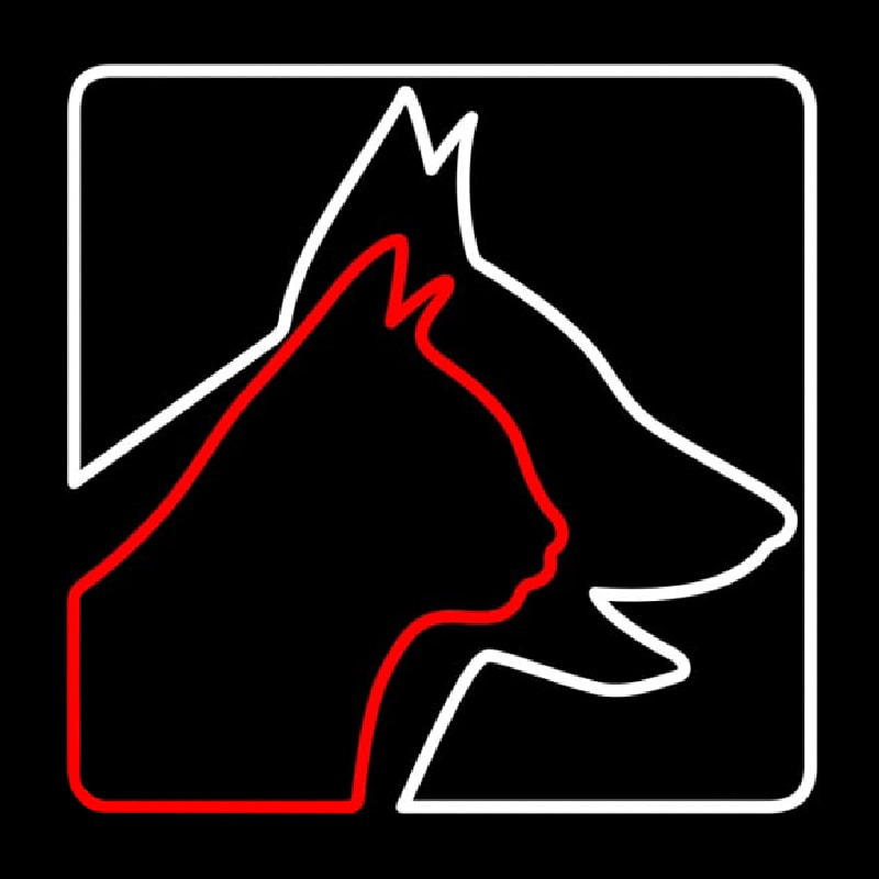 Veterinary Logo Dog Logo Cat Neonkyltti