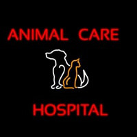 Animal Care Hospital Logo Neonkyltti