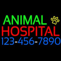 Animal Hospital With Phone Number Neonkyltti