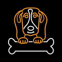 Basset Hound Poster Neonkyltti