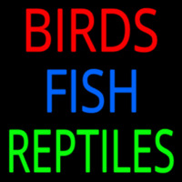 Birds Fish Reptiles 1 Neonkyltti