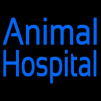 Blue Animal Hospital Neonkyltti