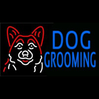 Blue Dog Grooming With Logo Neonkyltti