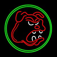 Bull Dog With Oval Neonkyltti