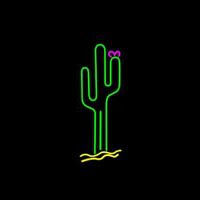 Cactus Neonkyltti