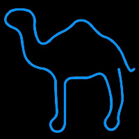 Camel Cigarettes Logo Neonkyltti