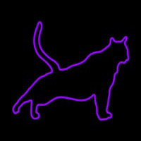 Cat Stretching Purple Neonkyltti