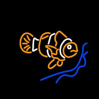 Clown Fish Neonkyltti