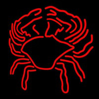 Crab Block With Logo 1 Neonkyltti