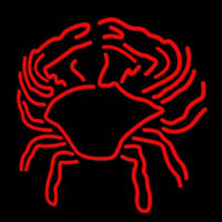 Crab Block With Logo Neonkyltti