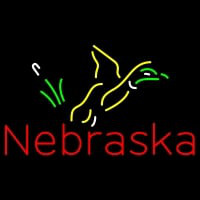 Custom Nebraska Pheasant Steve Neonkyltti