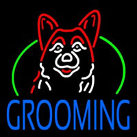 Dog Blue Grooming Neonkyltti