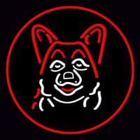 Dog Grooming Red Oval Neonkyltti
