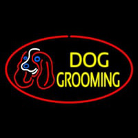 Dog Grooming Red Oval Neonkyltti