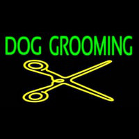 Dog Grooming With Cache Neonkyltti