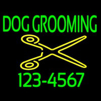 Dog Grooming With Phone Number Neonkyltti