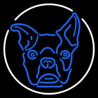 Dog Logo Neonkyltti