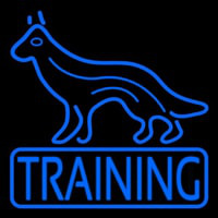 Dog Training Neonkyltti