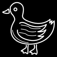 Duck Neonkyltti