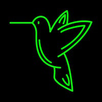 Hummingbird Neonkyltti