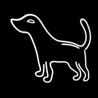 Logo Dog Neonkyltti