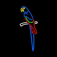 Parrot Neonkyltti