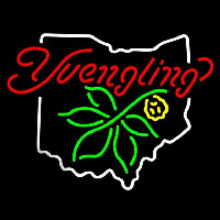 State Of Ohio Yuengling Beer Sign Neonkyltti