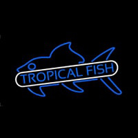 Tropical Fish Blue 1 Neonkyltti