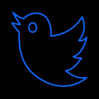 Twitter Bird Logo Neonkyltti