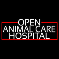 White Animal Care Hospital With Red Border Neonkyltti