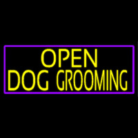 Yellow Open Dog Grooming With Purple Border Neonkyltti
