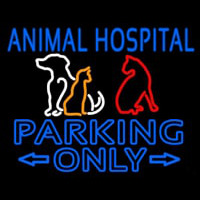 Animal Hospital Parking Only Neonkyltti